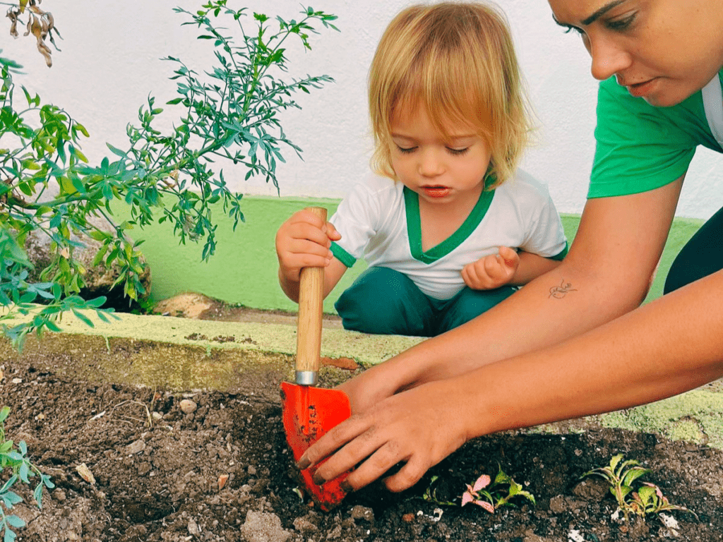 adaptação na creche